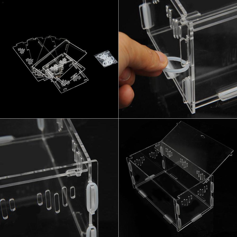 Acrylic Reptile and Insect Tank Reptile & Amphibian Habitats Best Toy Store