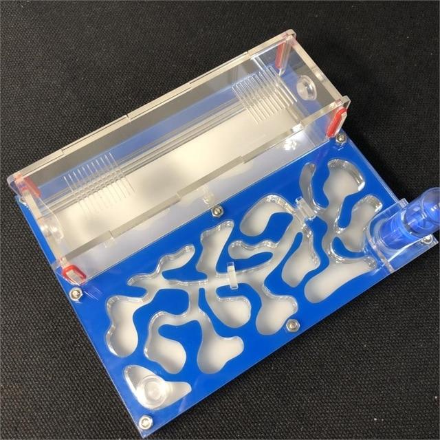 DIY Ant Farm Kit Ant Farms Best Toy Store Blue