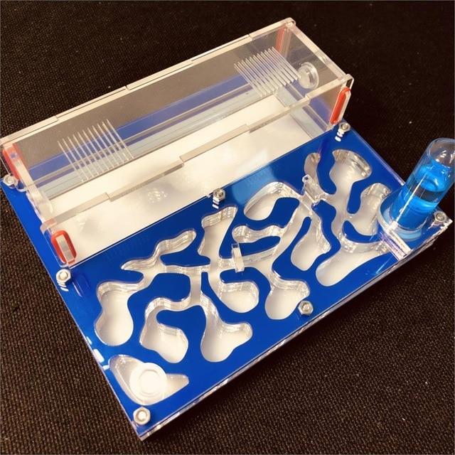 DIY Ant Farm Kit Ant Farms Best Toy Store Dark Blue