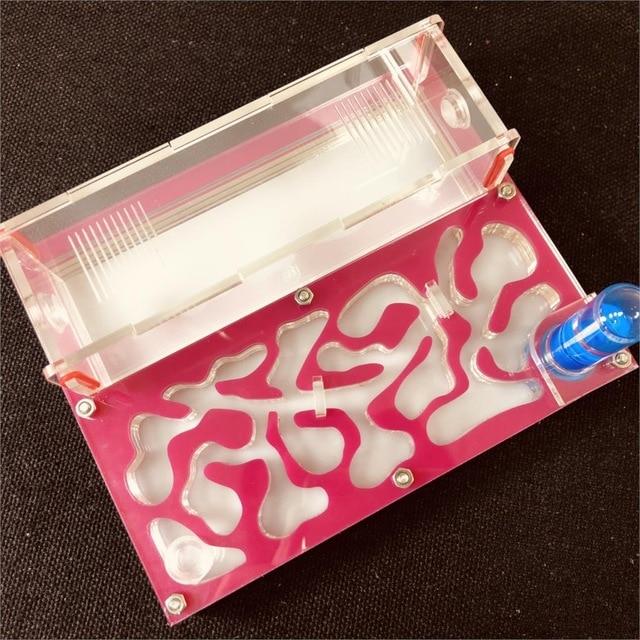 DIY Ant Farm Kit Ant Farms Best Toy Store Pink