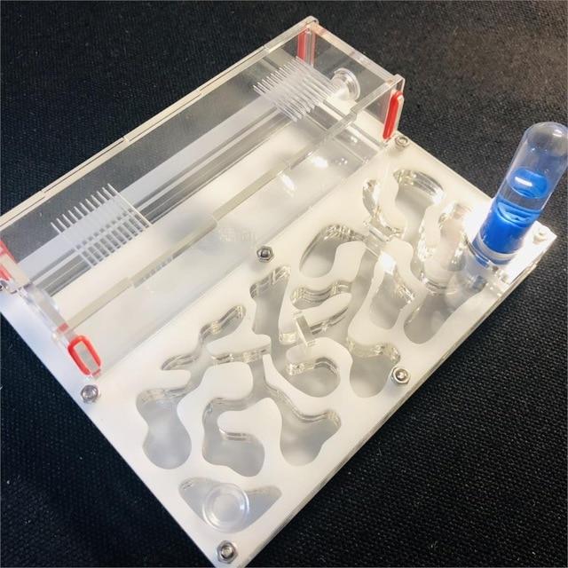 DIY Ant Farm Kit Ant Farms Best Toy Store White