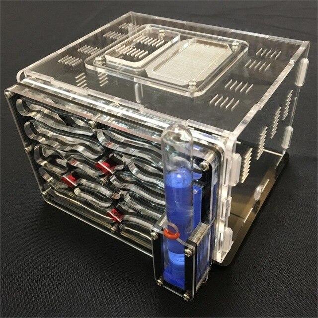 DIY Box Ant Farm Kit Ant Farms Best Toy Store Black