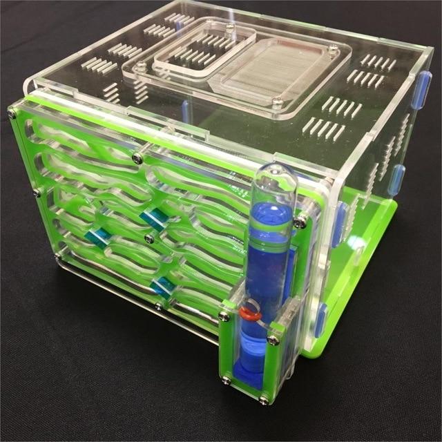 DIY Box Ant Farm Kit Ant Farms Best Toy Store Green