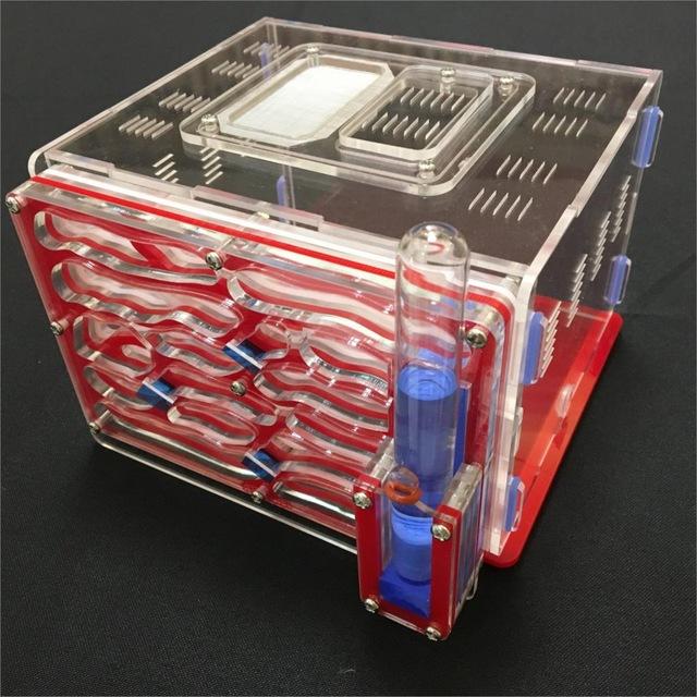 DIY Box Ant Farm Kit Ant Farms Best Toy Store Red