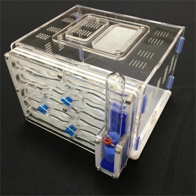 DIY Box Ant Farm Kit Ant Farms Best Toy Store White