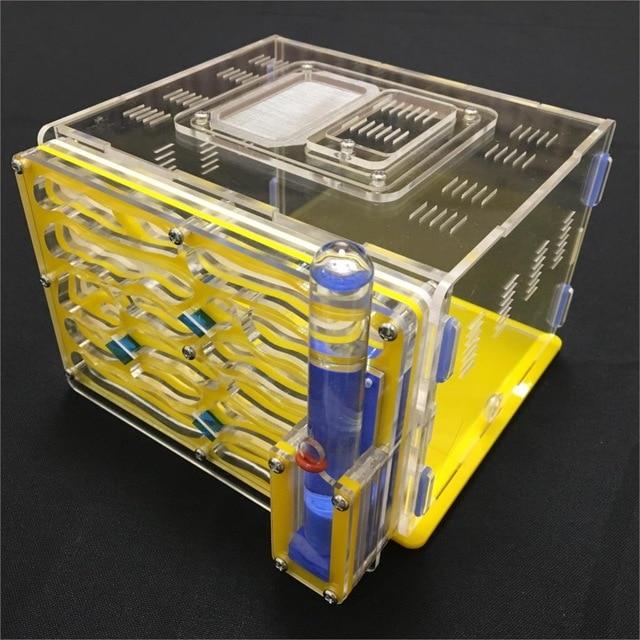 DIY Box Ant Farm Kit Ant Farms Best Toy Store Yellow