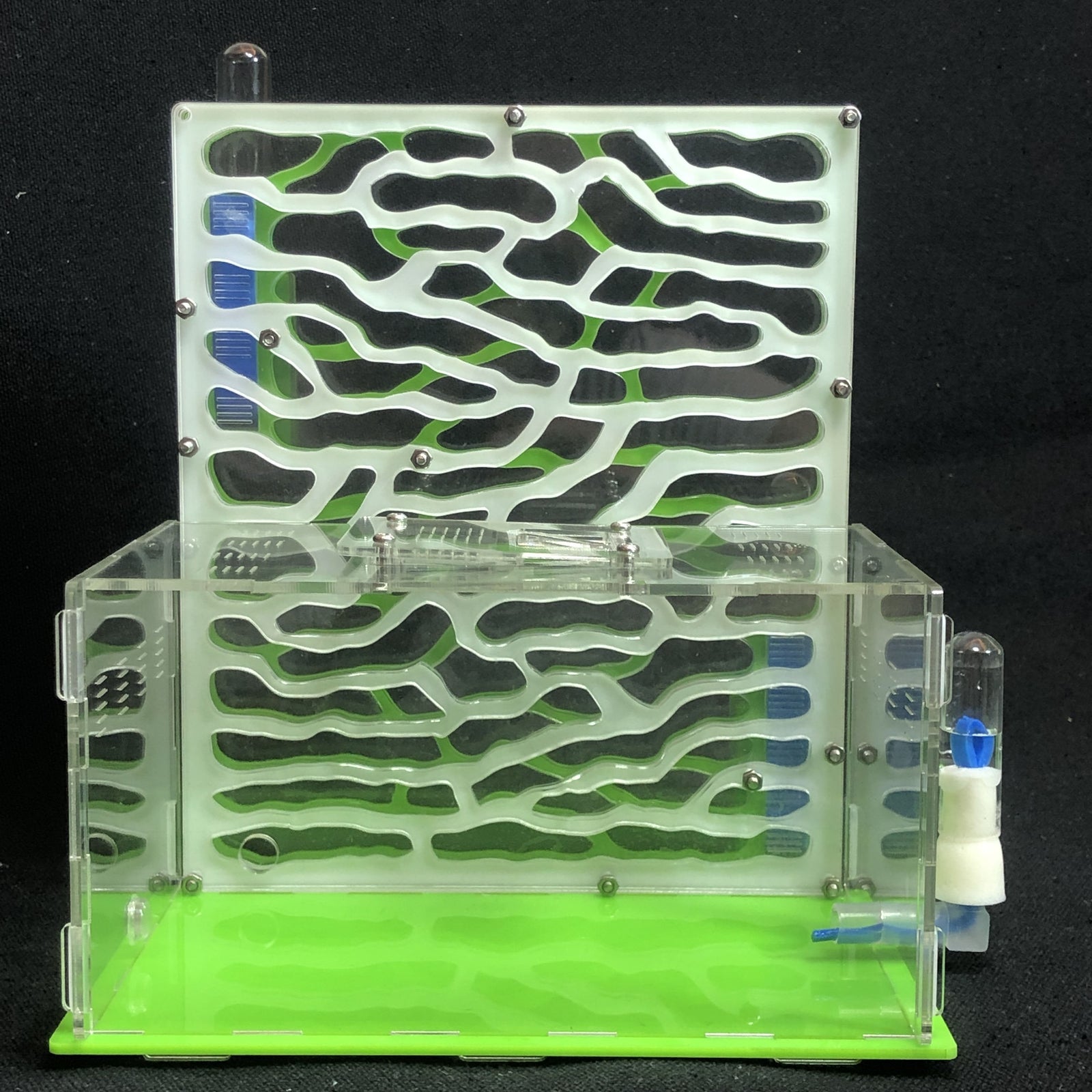 DIY Large Ant Farm Kit Ant Farms Best Toy Store