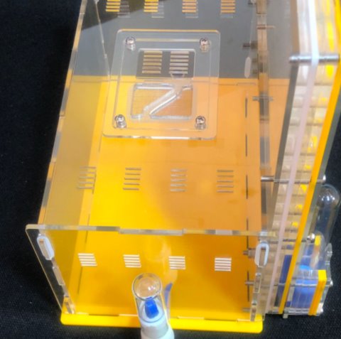 DIY Large Ant Farm Kit Ant Farms Best Toy Store