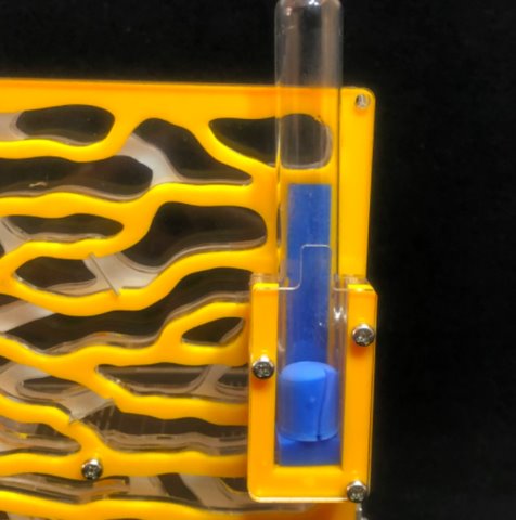 DIY Large Ant Farm Kit Ant Farms Best Toy Store