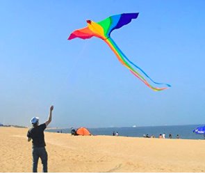 1.8m Colourful Bird Single Line Kite Kites Best Toy Store 