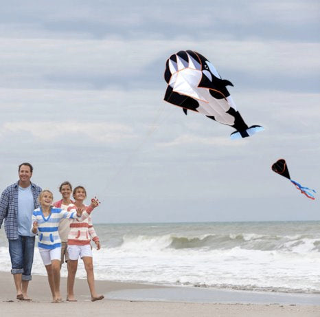 Giant Whale Parafoil Kite 3 Colours! Kites Best Toy Store 