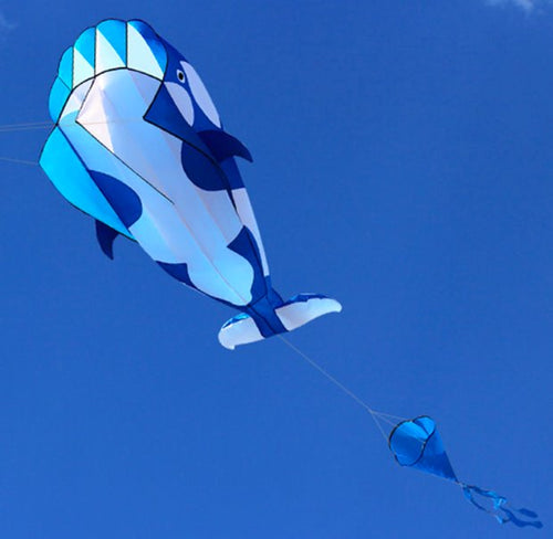 Giant Whale Parafoil Kite 3 Colours! Kites Best Toy Store Blue 