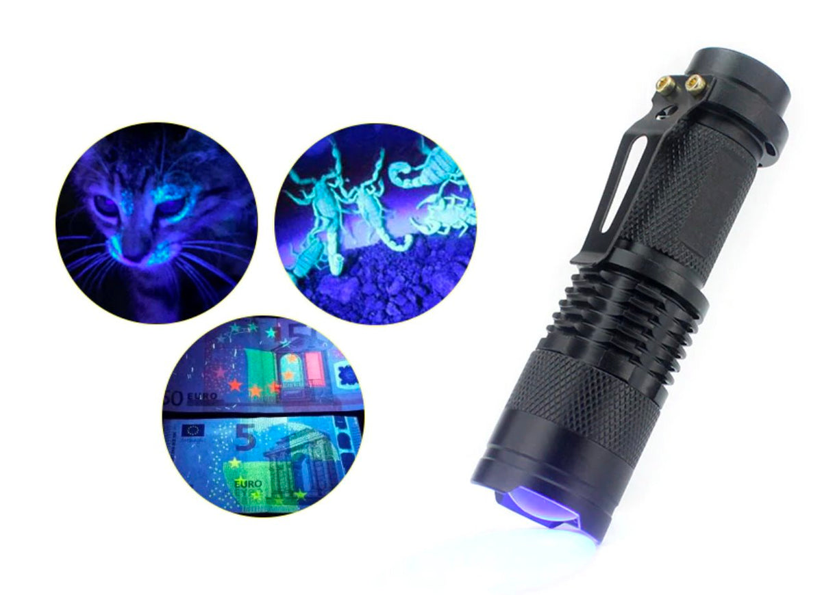 LED UltraViolet Torch Torches &amp; Headlamps Best Toy Store 